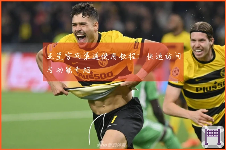 亚星官网渠道使用教程：快速访问与功能介绍