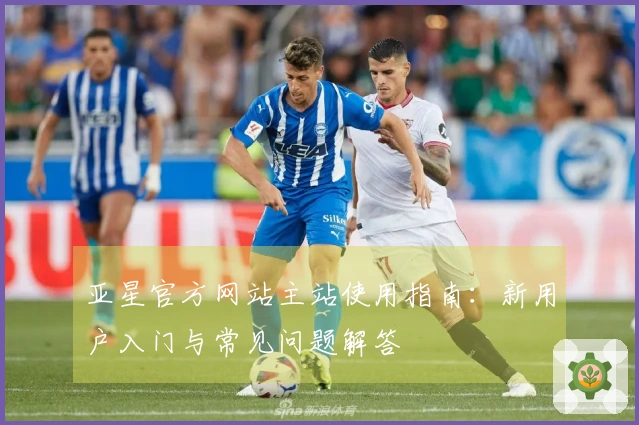 亚星官方网站主站使用指南：新用户入门与常见问题解答