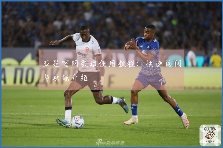 亚星官网渠道使用教程：快速访问与功能介绍
