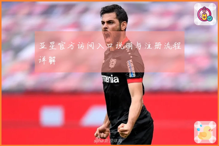 亚星官方访问入口说明与注册流程详解